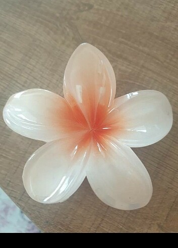 Lotus toka