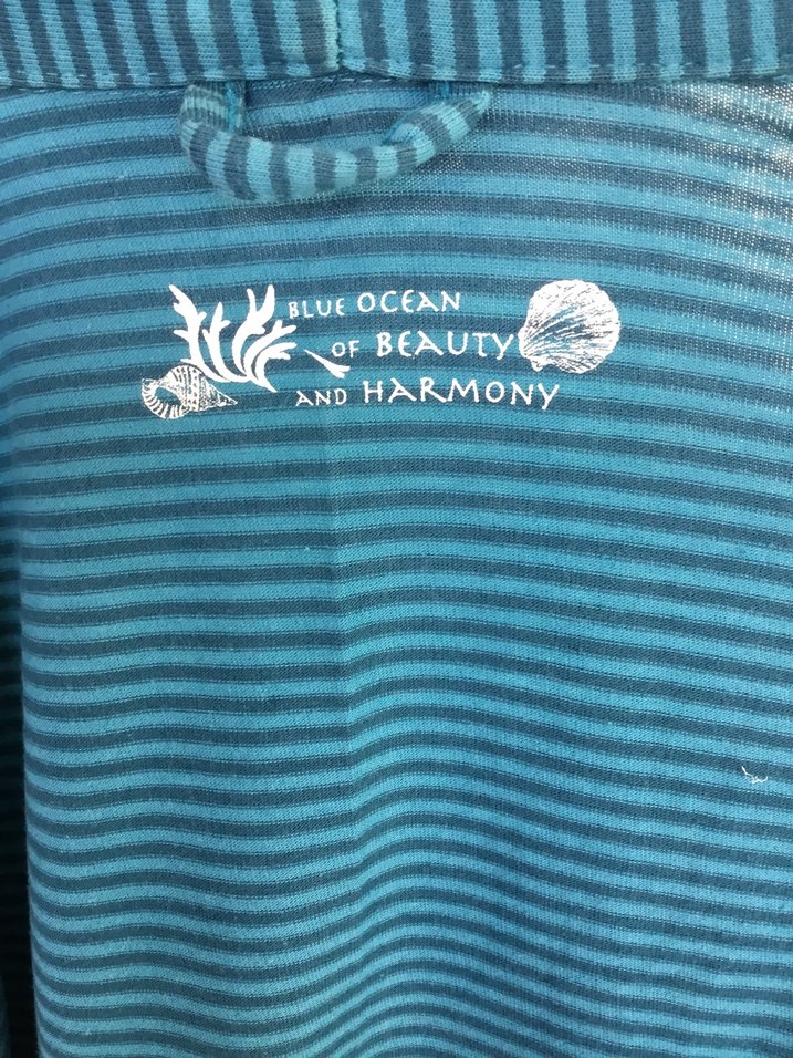 Uzun Kollu Mavi Kadın Sabahlık - Görsel 5