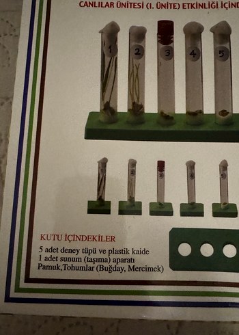 Çimlenme Deney Seti - İlköğretim 6. Sınıf - Görsel 3