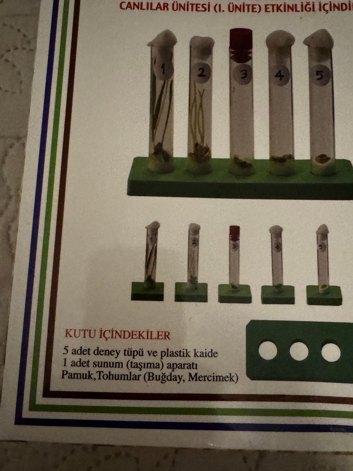 Çimlenme Deney Seti - İlköğretim 6. Sınıf - Görsel 3
