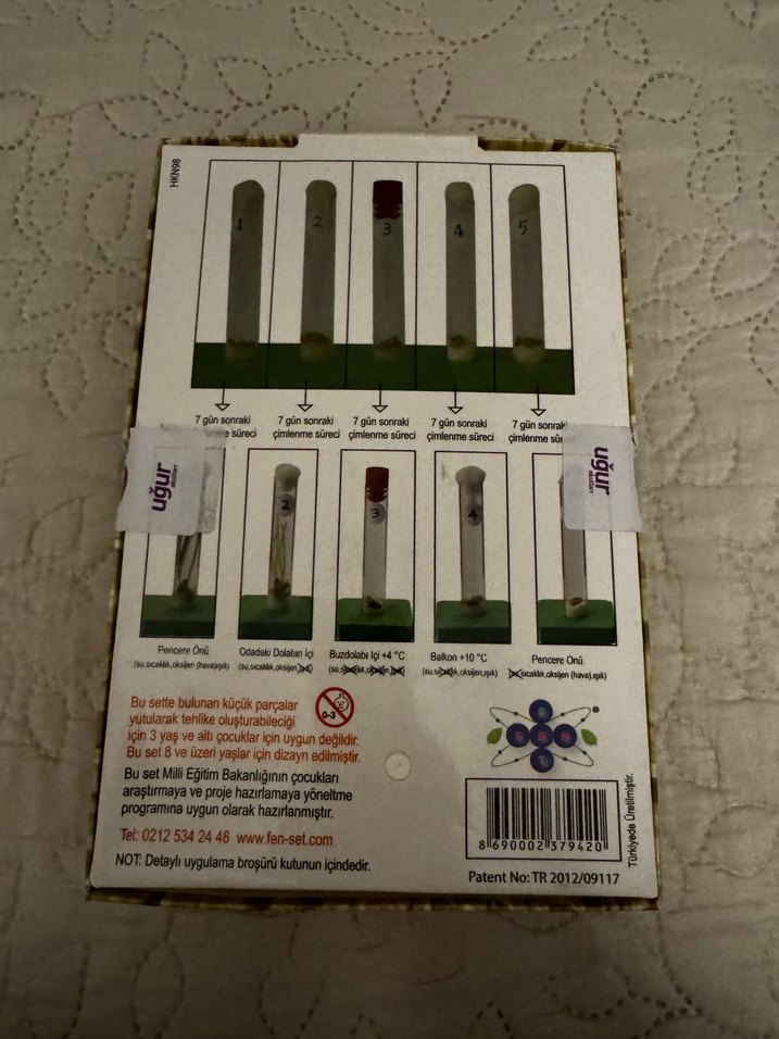 Çimlenme Deney Seti - İlköğretim 6. Sınıf - Görsel 4