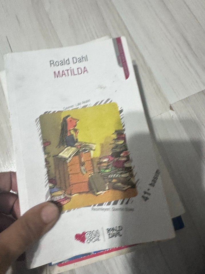 Harley Quinn Çılgın Kız Çizgi Roman - Görsel 2