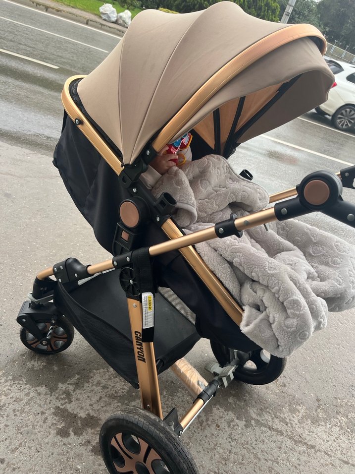 Kahverengi ve Gri Bebek Arabası - Görsel 2