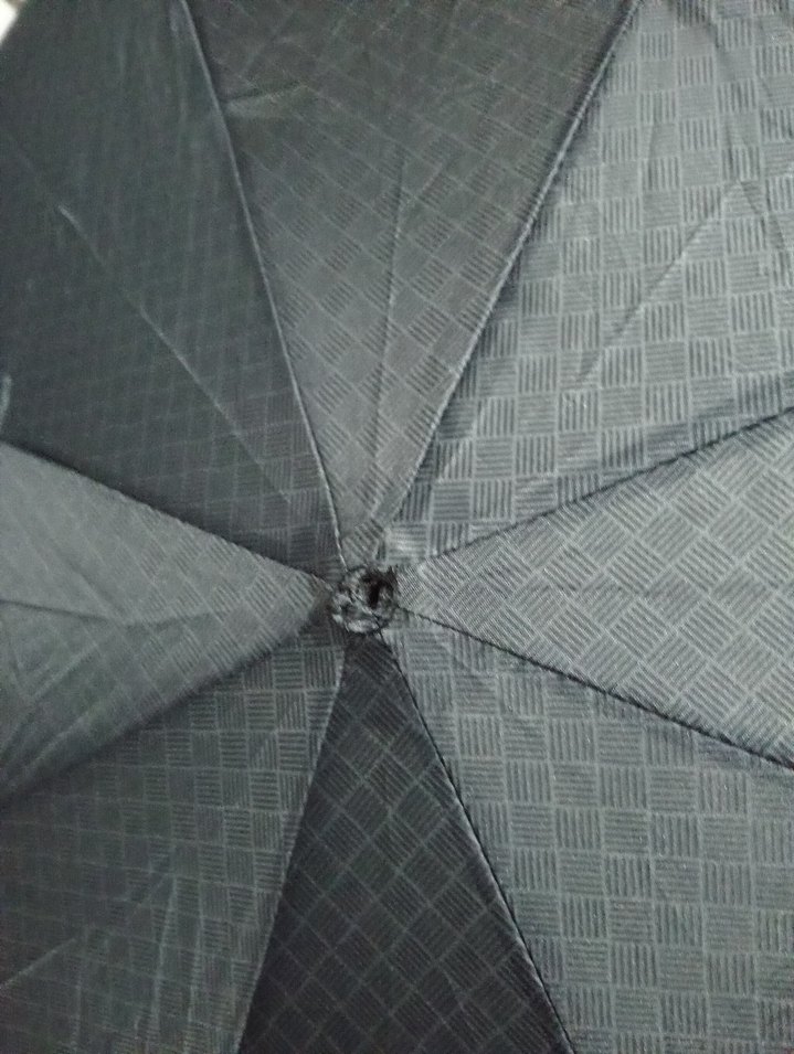 Kadın Siyah Pileli Minimalist Şemsiye - Görsel 3