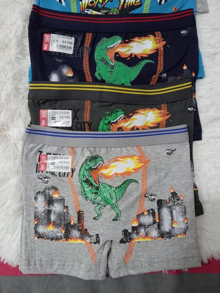 5 adet Renkli Baskılı Çocuk Boxer Seti - Görsel 2