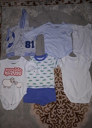 Body zıbın 