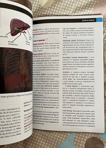  Beden Sağlık Bilimleri İçin Anatomi Kitabı