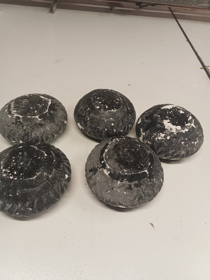 saksı çiçek bitki saksı - Görsel 4