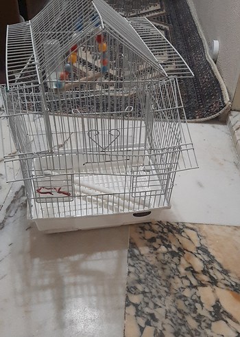 Gri Kuş Kafesi