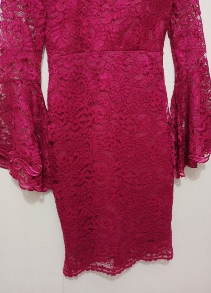 Pembe Dantelli Balık Abiye Elbise - Görsel 4