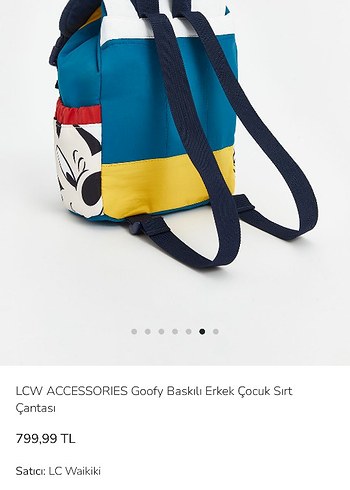 Beden Goofy Baskılı Erkek Çocuk Sırt Çantası