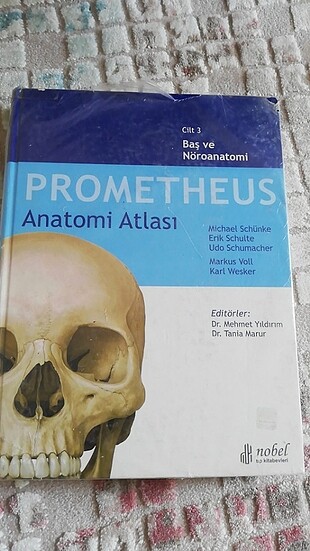 Prometheus anatomi atlası cilt 3