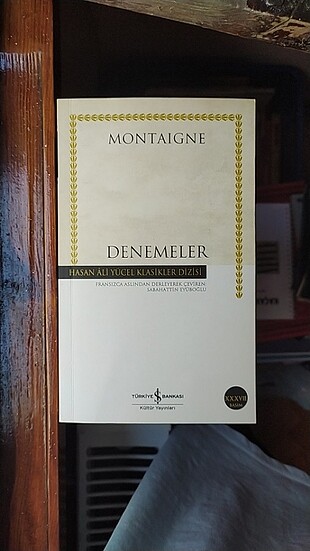 Montaigne-Denemeler