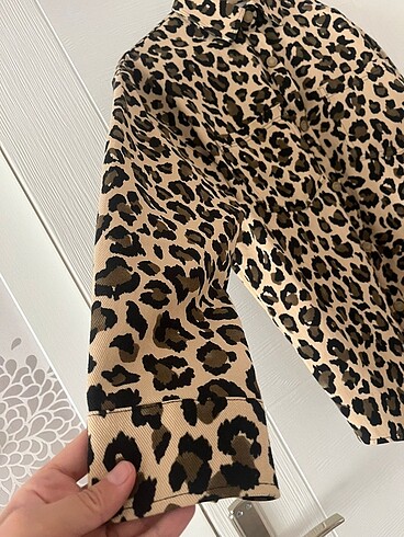 Leopar