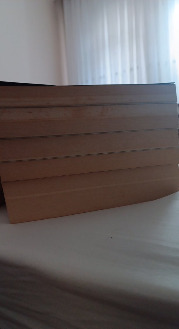 Tuğçe Aksal - Karanlık Aşk ve Veliahtlar Romanları - Görsel 2