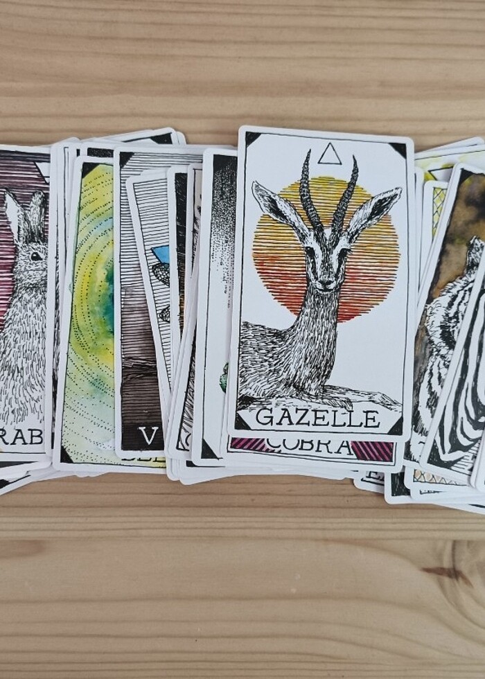 Animal Spirit Destesi - Görsel 3