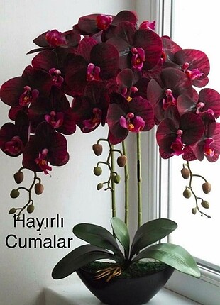 Çiçek