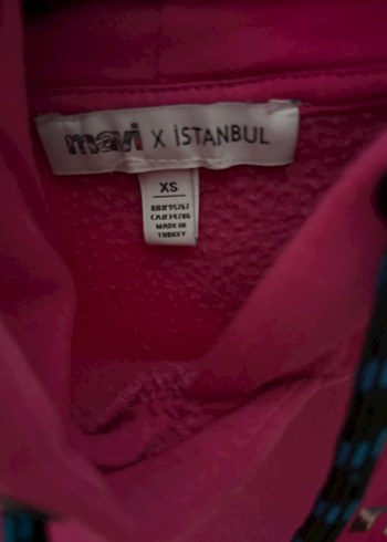 Kadın Pembe Kapüşonlu Renkli Baskılı Sweatshirt - Görsel 4