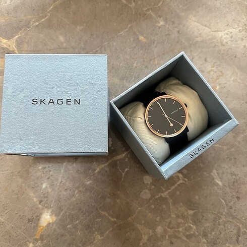 Skagen erkek saat