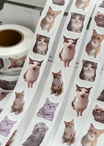 500 Adet Beyaz Kedi Figürlü Sticker Bant