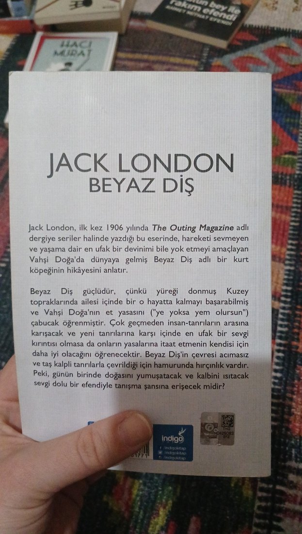 Beyaz Diş - Jack London - Görsel 2
