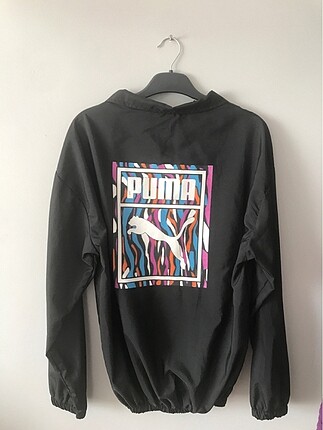 puma polar