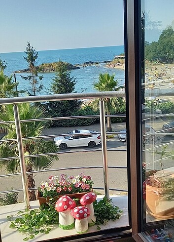  Beden Mantar ???? ve Şirinler Bahçe Balkon Teras Dekoru 