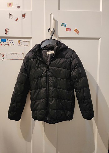 Erkek Çocuk Gri Fermuarlı Kışlık Mont - Görsel 2