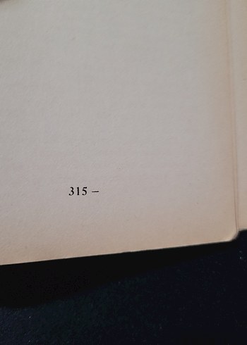 Alınteri Taciri - Refik Sönmezsoy - Görsel 5