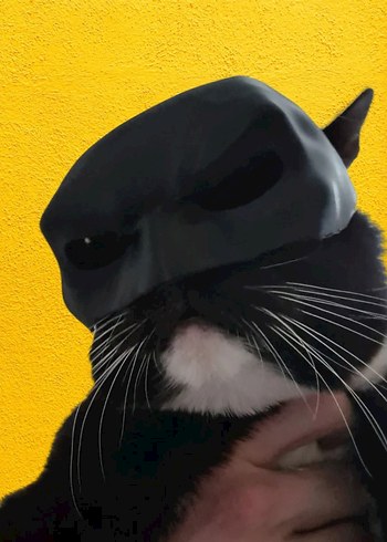 3d baskı Batman Kedi veya köpek maskesi - Görsel 10