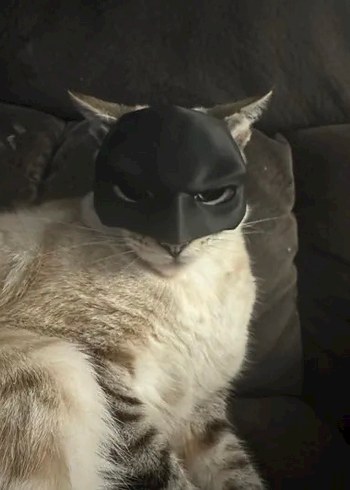 3d baskı Batman Kedi veya köpek maskesi - Görsel 5