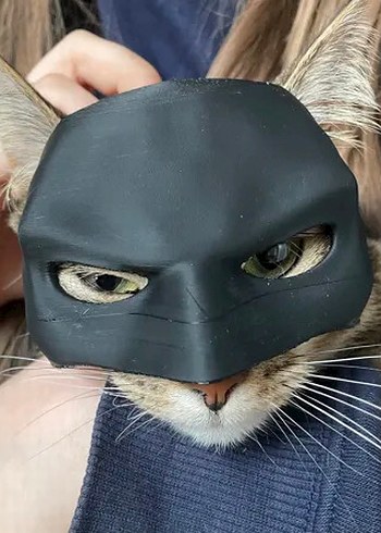 3d baskı Batman Kedi veya köpek maskesi - Görsel 8