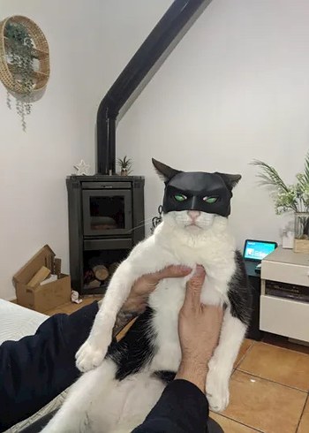 3d baskı Batman Kedi veya köpek maskesi - Görsel 4