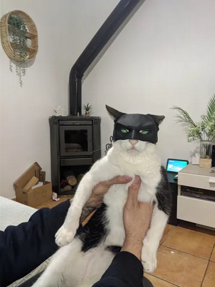 3d baskı Batman Kedi veya köpek maskesi - Görsel 4