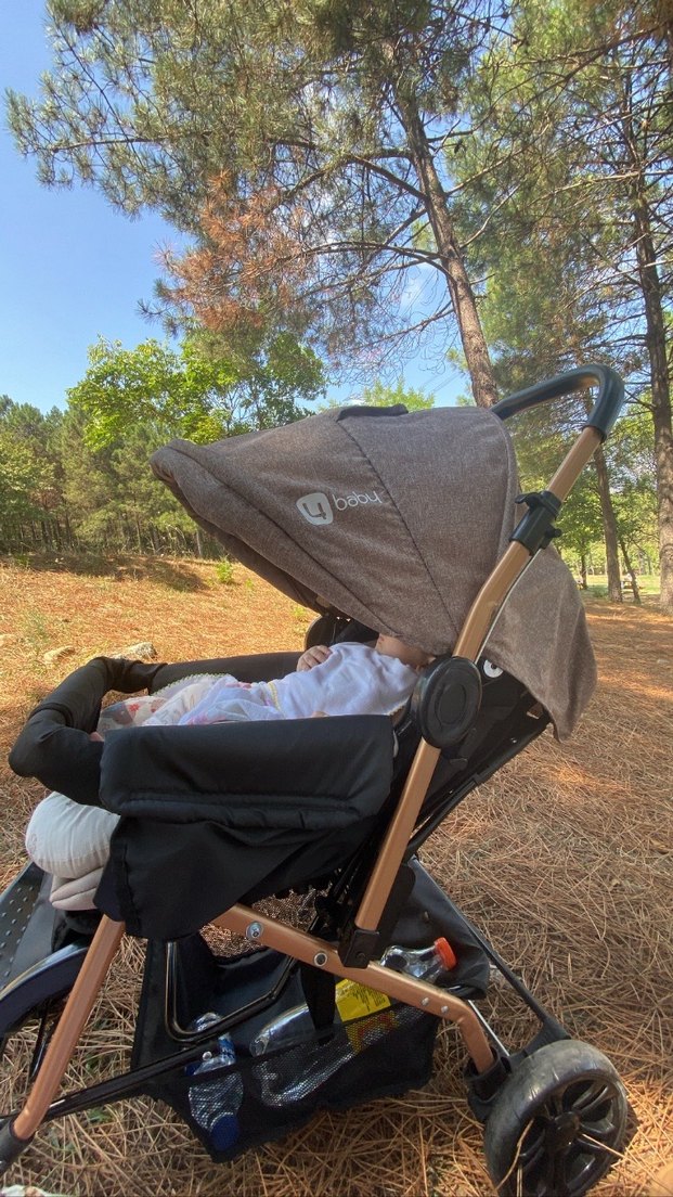 Kahverengi Çok Fonksiyonlu Bebek Arabası - Görsel 2