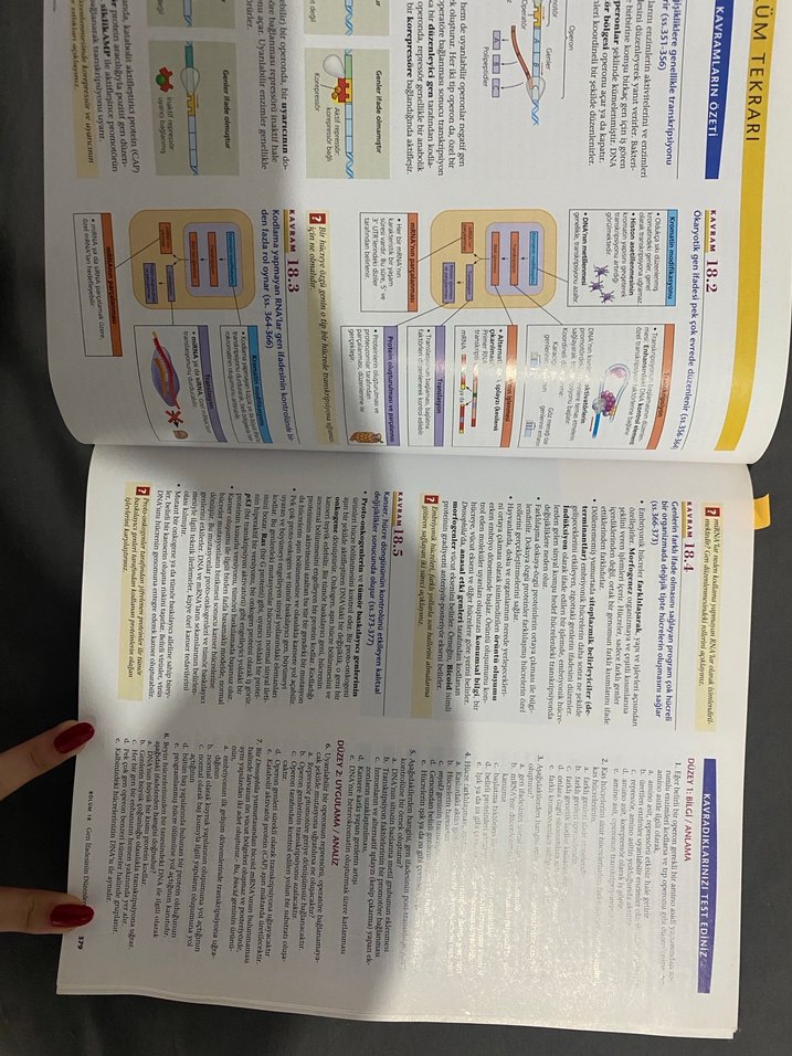 Campbell Biyoloji Kitabı - Dokuzuncu Baskı - Görsel 2