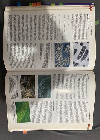 Brock Mikroorganizmaların Biyolojisi - Palme Yayıncılık - Görsel 2