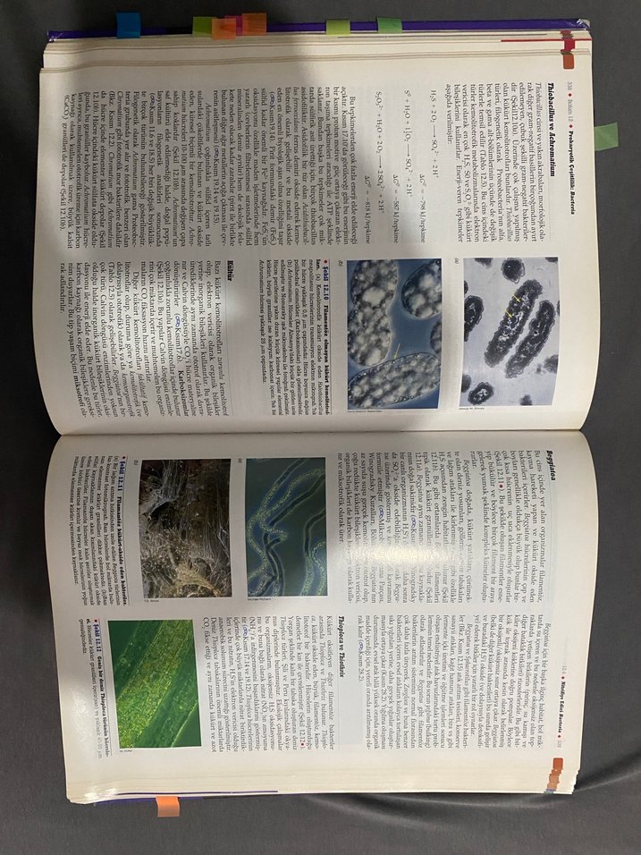 Brock Mikroorganizmaların Biyolojisi - Palme Yayıncılık - Görsel 2