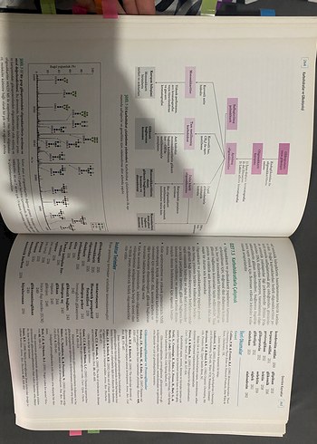 Lehninger Biyokimyanın İlkeleri Kitabı - Görsel 2