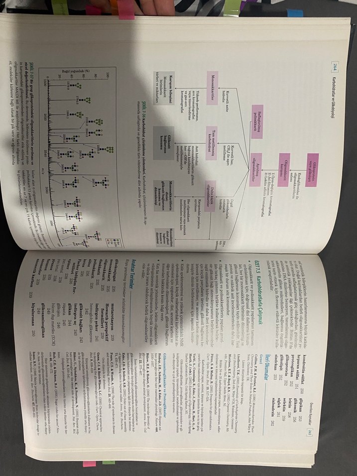 Lehninger Biyokimyanın İlkeleri Kitabı - Görsel 2