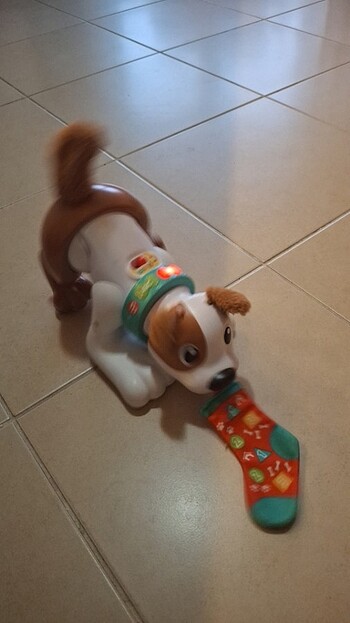 Fisher Price Eğitici köpek