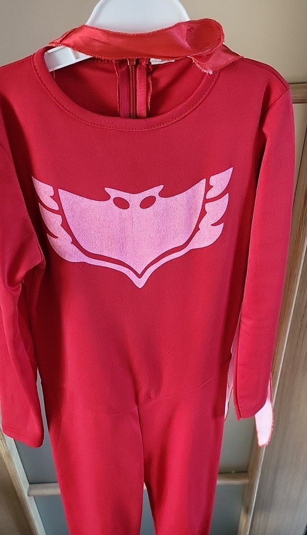 Baykuş kiz kostüm - Görsel 5