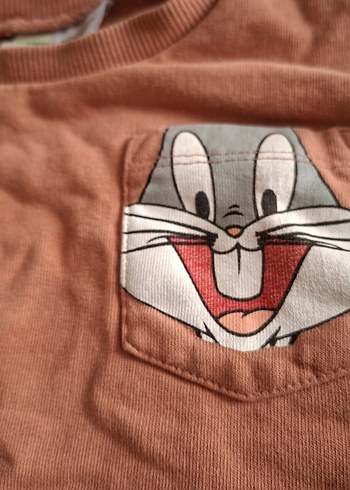 Zara zara ge lcw bebek sweatshirt