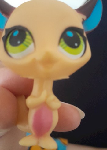  Beden lps miniş