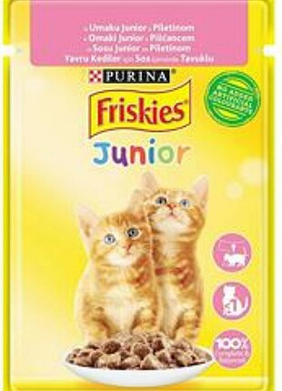 Purina friskies kedi mamasi junior