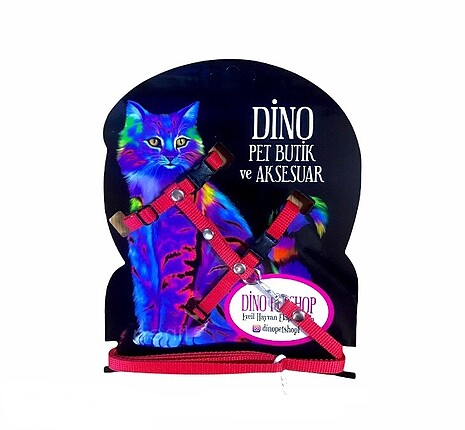 Kedi ve köpek tasması