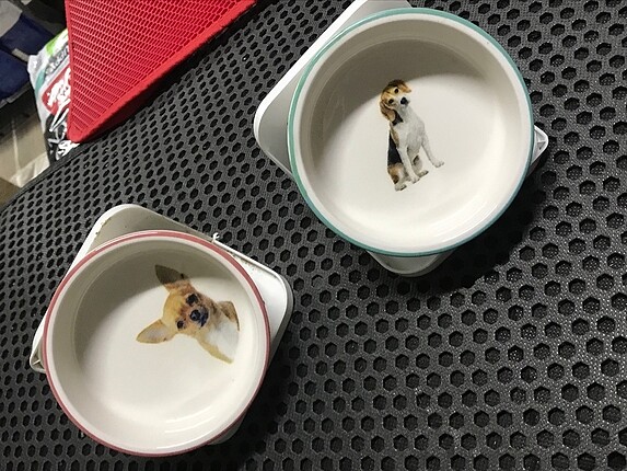 Kedi ve köpek mama ve su kabı seramik