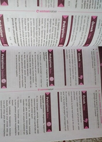 Kpss Genel Kültür Genel yetenek konu anlatımlı , uzman kariyer y - Görsel 11