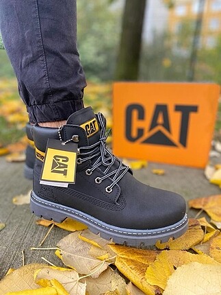 Cat bot