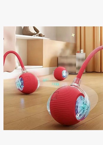 Kedi malzemeleri - Görsel 9